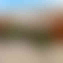 thi công quán cà phê sân vườn