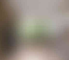 thi công biệt thự