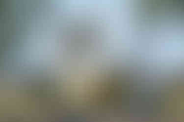 kiến trúc khu phức hợp nasa