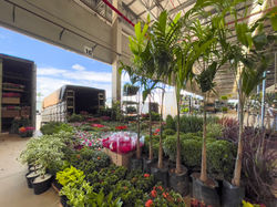 Foto Terrestre - 081221 - 27