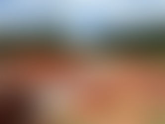 Eco-Friendly Septic Systems Georgia: Constructed Wetlands and ATUs for Cleaner Homes