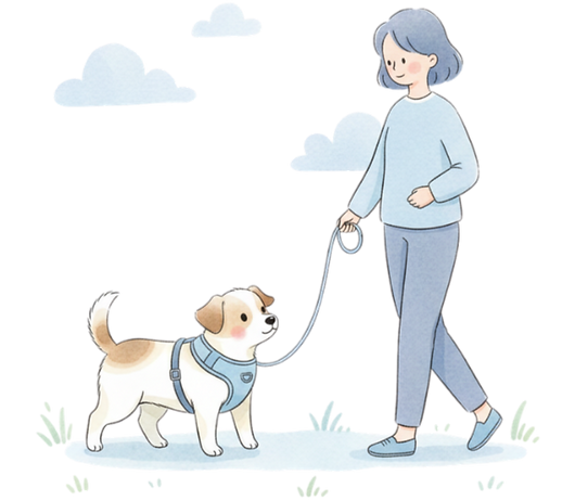 éducateur canin comportementaliste canin poitiers 86 86000 vienne dresseur chien réactif agressif tire en laisse aboie éducation positive renforcement positif bienveillance méthode positive éducation canine ludique cours collectif chien