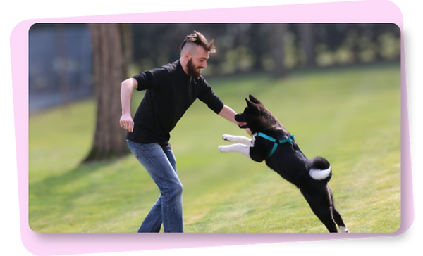 éducateur canin comportementaliste canin poitiers 86 86000 vienne dresseur chien réactif agressif tire en laisse aboie éducation positive renforcement positif bienveillance méthode positive éducation canine ludique cours collectif chien