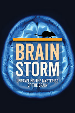 Brainstorm: Unraveling the Mysteries of the Brain