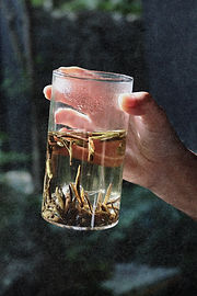 DE1 Sustainable tea gifts