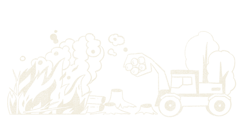 DE1 Zero-plastic tea for conscious sippers_deforestation.png