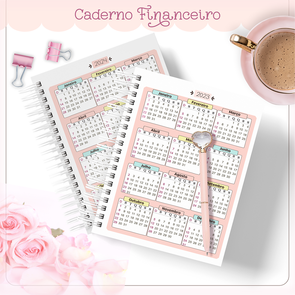 Miniatura: Caderno Financeiro