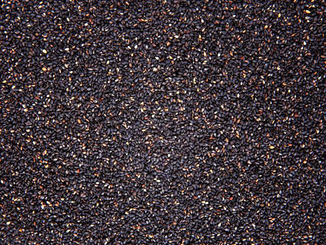 Sesame