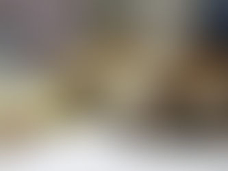 Parvo hastalığı nedir?