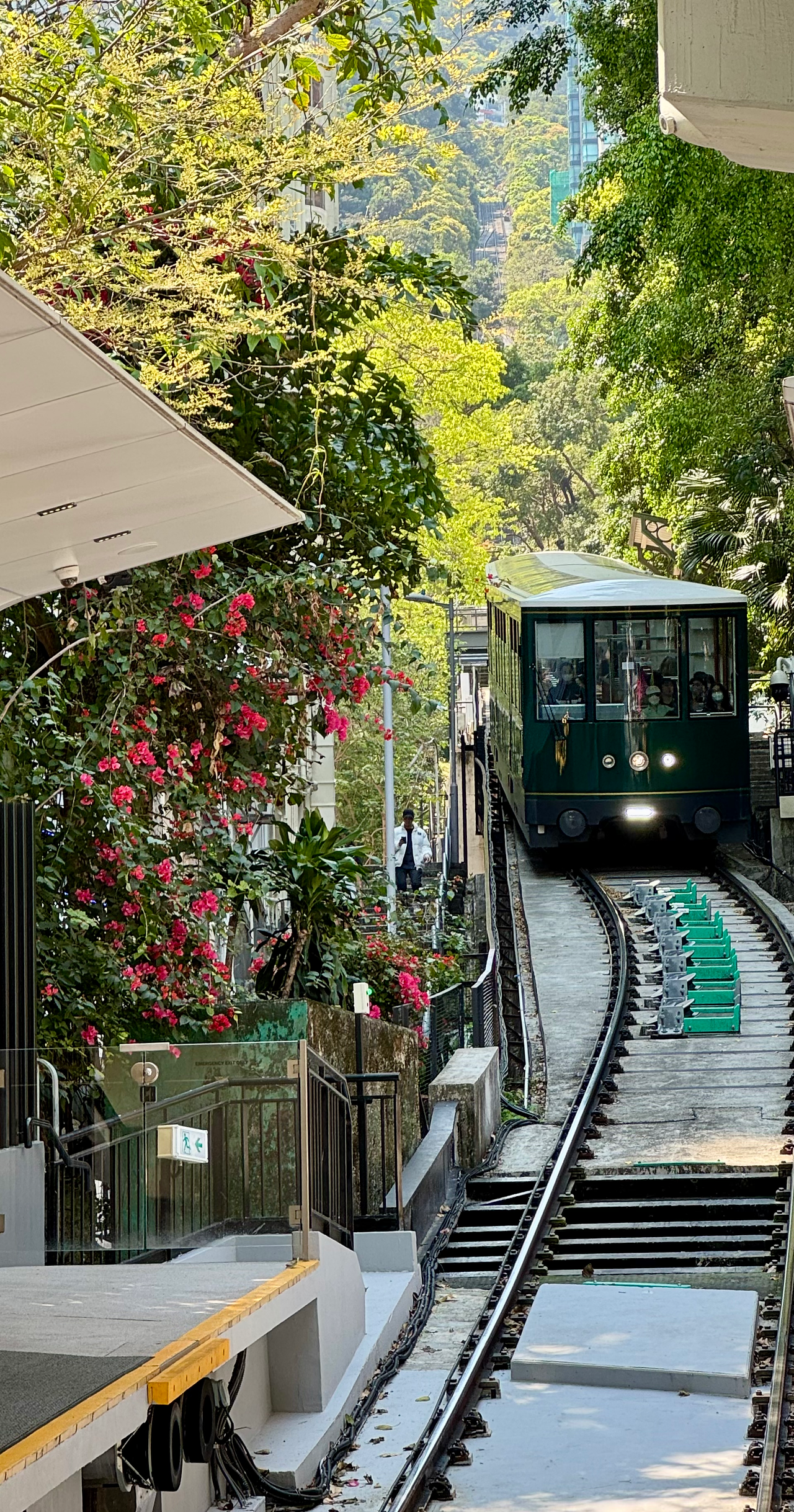 Tram to the Peak, Hong Kong Island