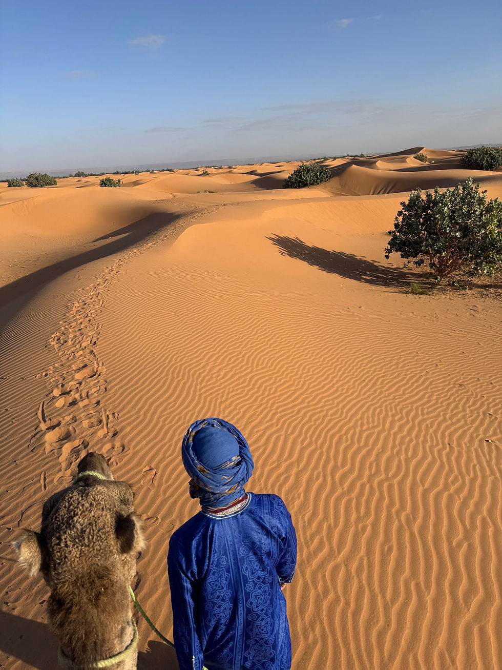 Fast Travel through Morocco - two weeks!