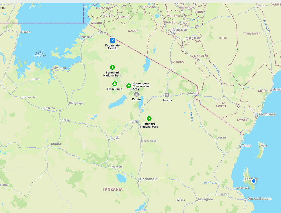 So, where were we in Tanzania on Safari?