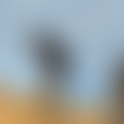 Queen’s head, Yehliu Geopark, Taiwan