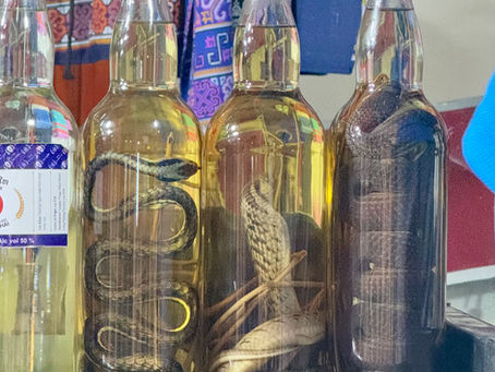 Drinking through Southeast Asia
