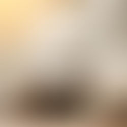 budget, economy, finance, credit score, emergency fund