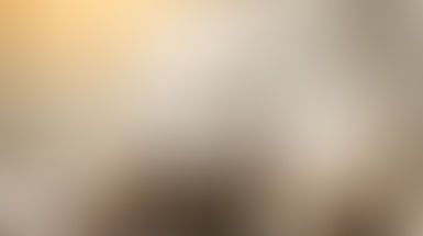 budget, economy, finance, credit score, emergency fund