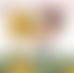 money melting fast from expenses