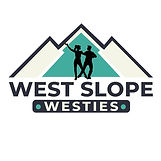 WSW SM Logo.jpg