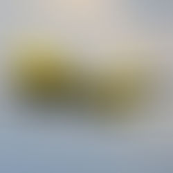 Spirit Airlines Adds New Central America Routes Even As Fleet Shrinks