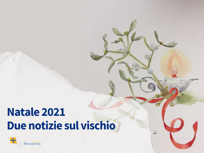 Due notizie sul vischio