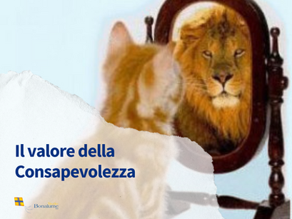 IL VALORE DELLA CONSAPEVOLEZZA