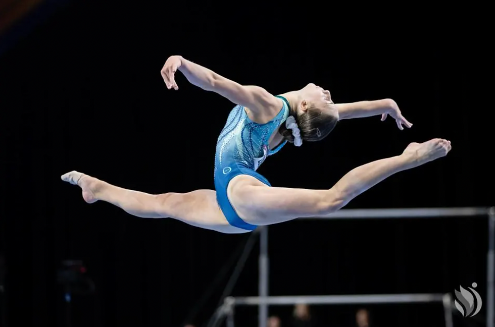 Courtesy of John Cheng, USA Gymnastics