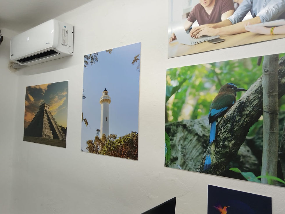 FOTOGRAFIAS DECORATIVAS