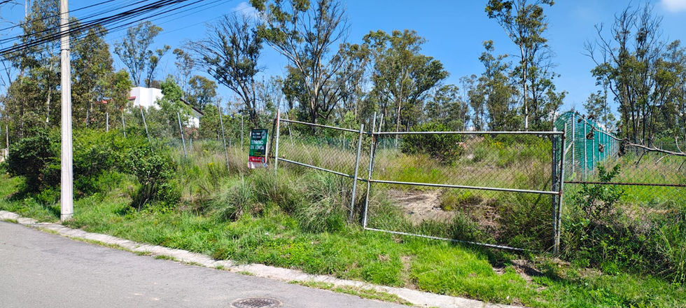 Interior del terreno en venta, delimitado y con espacio limpio para construcción.