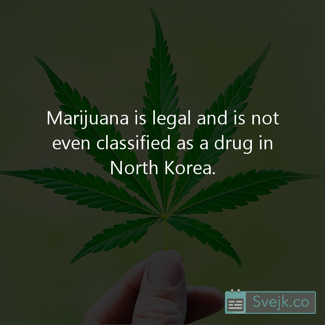 Fact of the week