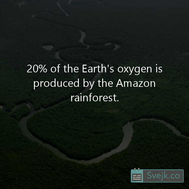 Fact of the week