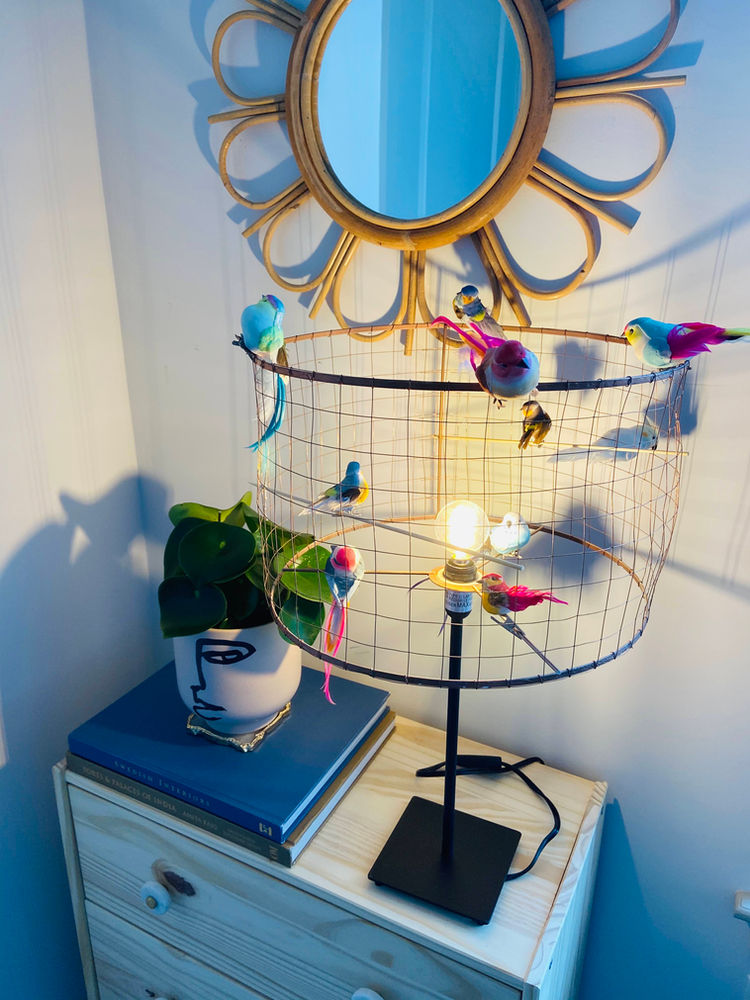 DIY Bird Cage lampshade (La Voliere Pendant Hack)