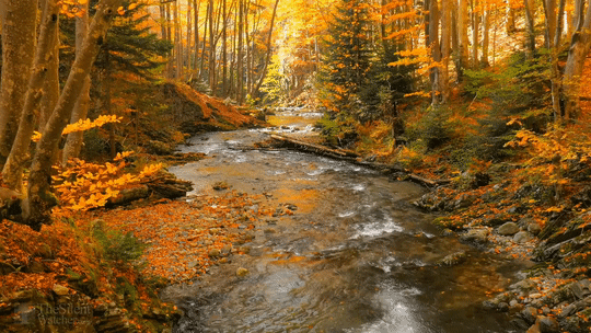 69e843e0c85daa1abaefd7a3cf057dc9.gif