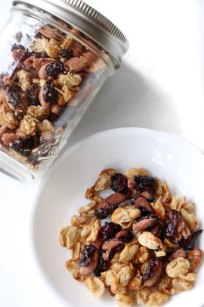 Roasted Bean Snacks Top 8 Free