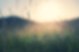 iStock-1322277517.jpg