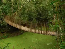 Parque Estadual Morro do Diabo em Teodoro Sampaio (SP): Conheça a Sede, a Lagoa Verde e um dos Maiores Tesouros da Mata Atlântica