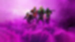 DDD_Site_Banner_v5.jpg