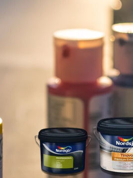 Hvad adskiller professionelle malere fra normale malere?