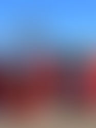 Hvorfor du skal hyre en professionel maler