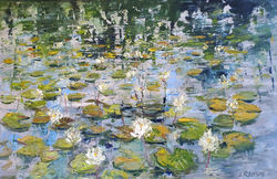 Water Lilies