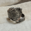 Thumbnail: size 6.5 spoon ring (Delaware)
