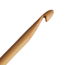 20250915_153427-removebg-preview (1).png