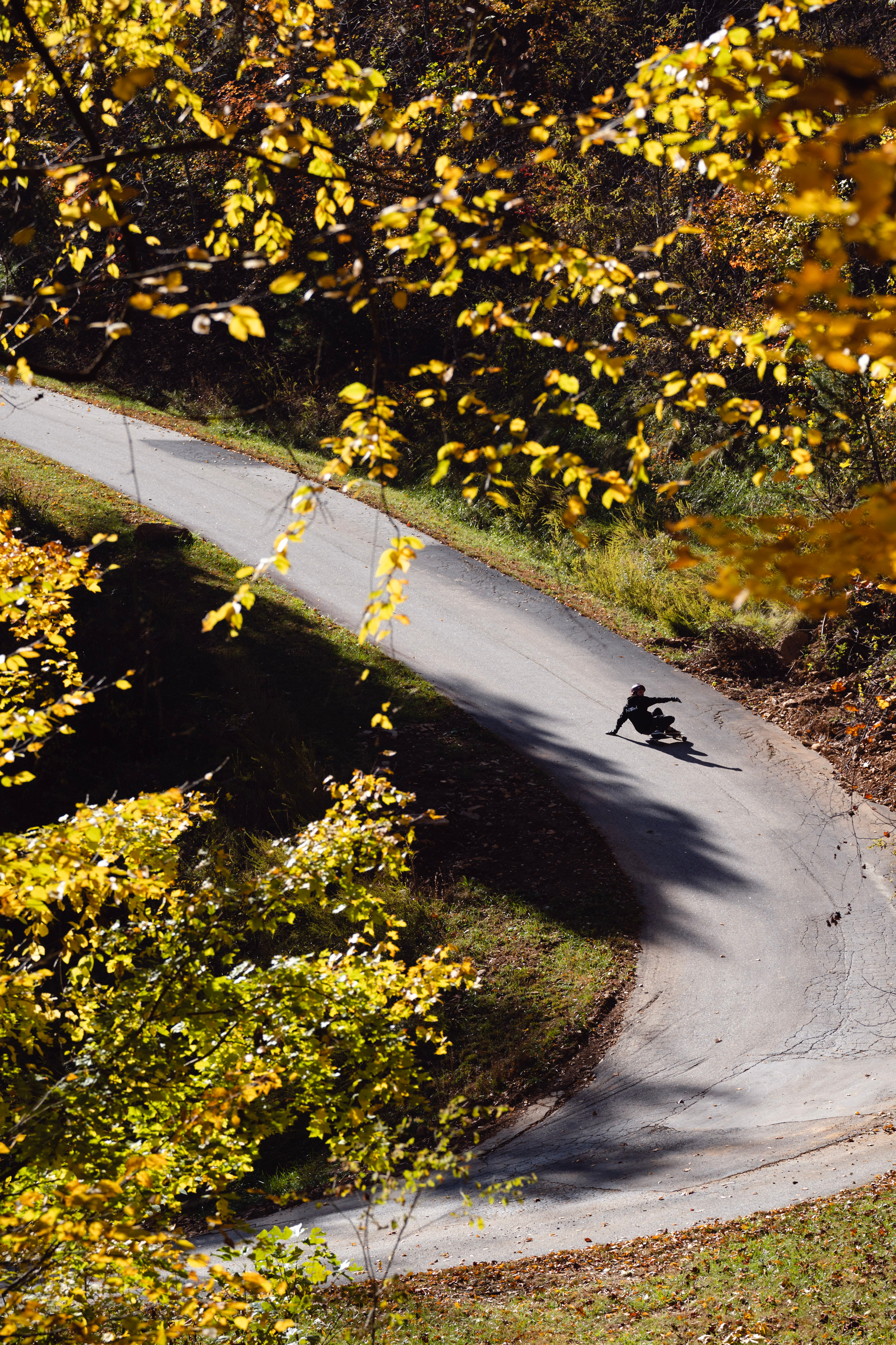 Schuyler True Print --Teaj Layback