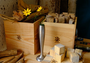 DSCF1353.JPG