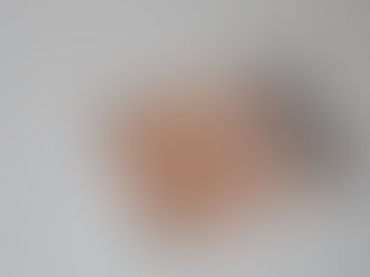 はじまりの「育林箸」