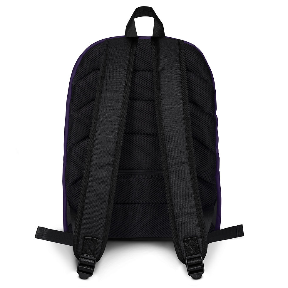 Miniature : Backpack Street Syndicate Comik