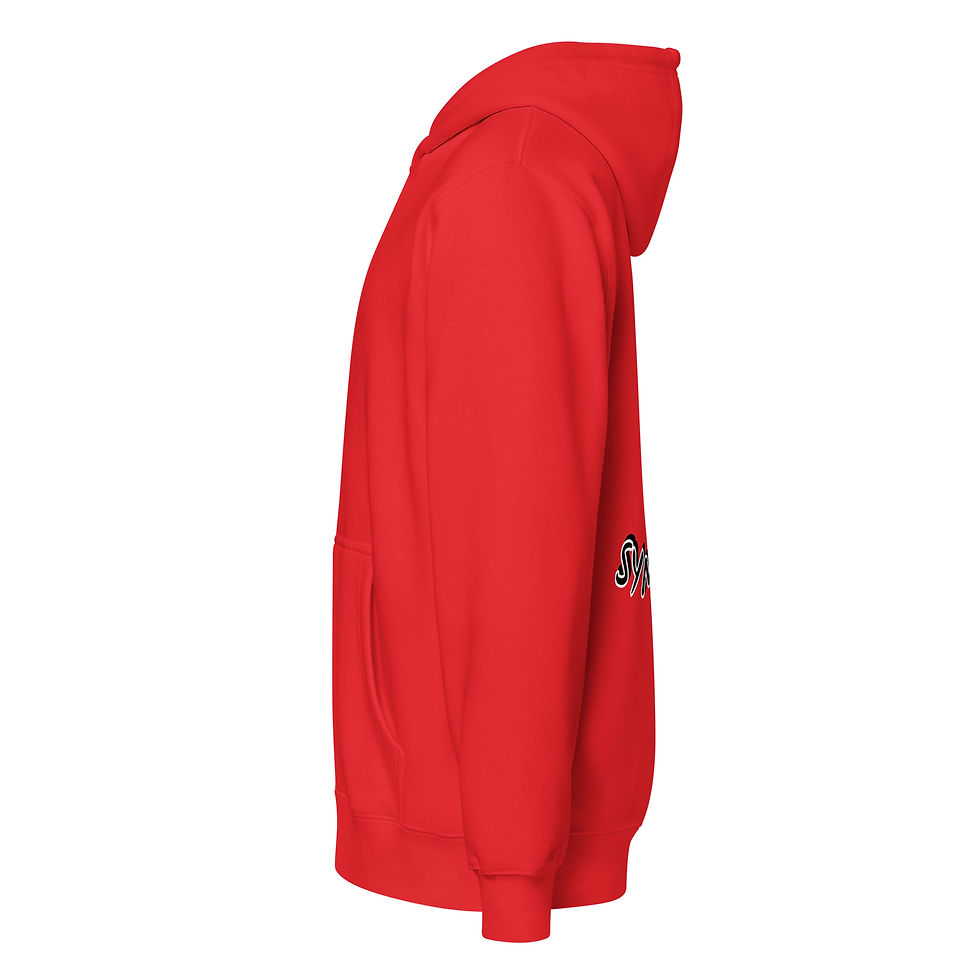 Miniature : Premium full zip hoodie Street Syndicate Skull