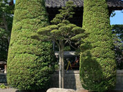 第95回 zen café 定例坐禅会 【トイレの神様 feat.トオスの仏様】(松本市 中町・蔵シック館開催)