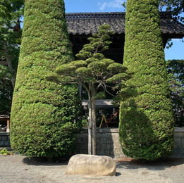 第95回 zen café 定例坐禅会 【トイレの神様 feat.トオスの仏様】(松本市 中町・蔵シック館開催)