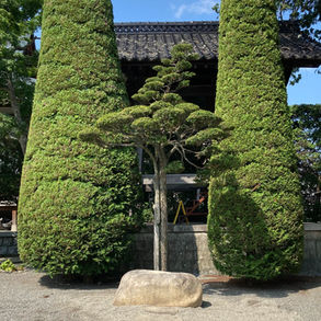 第95回 zen café 定例坐禅会 【トイレの神様 feat.トオスの仏様】(松本市 中町・蔵シック館開催)