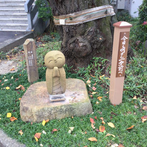 第５７回 zen café 坐禅会（リアル開催＆オンライン配信）